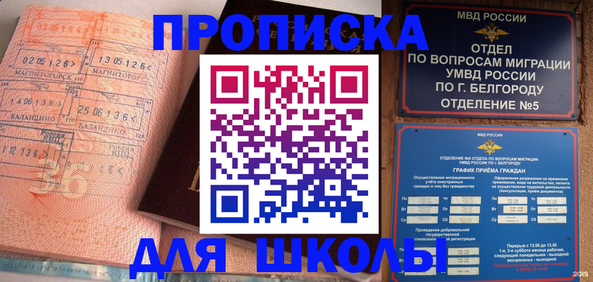 прописка иностранных граждан в Палласовке